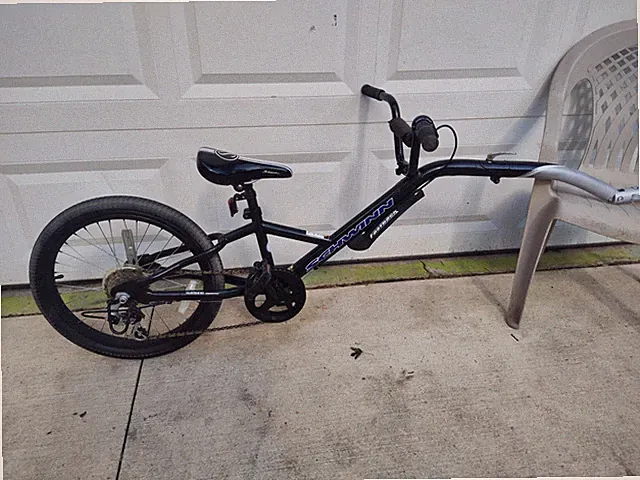 SCHWINN SHIFTER 6 SPEED TAG ALONG KIDS TRAIL A BIKE TRAILER WITH HITCH